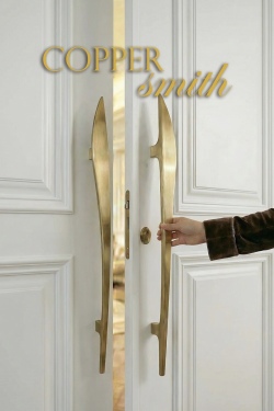 Main Door solid brass pulls