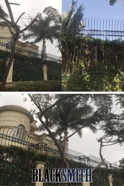 EL SAFWA RESORT NEW CAIRO